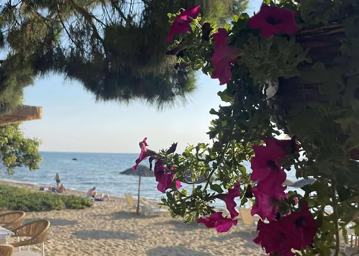 La Casa De Verano Daire Skala Sotiros