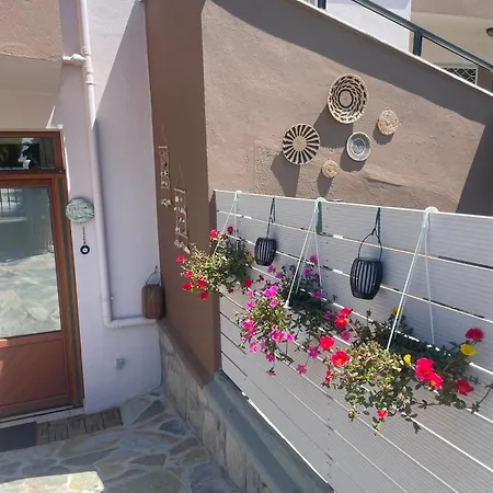 La Casa De Verano * 斯卡拉索提罗斯